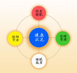 健康管理的特點(diǎn) 構(gòu)建全面、主動、個(gè)性化的健康守護(hù)體系
